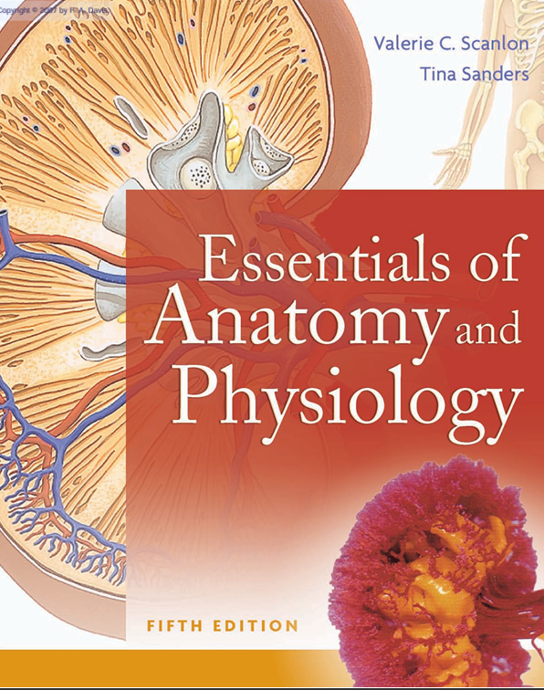 Cover Essentials of Anatomy and Physiology